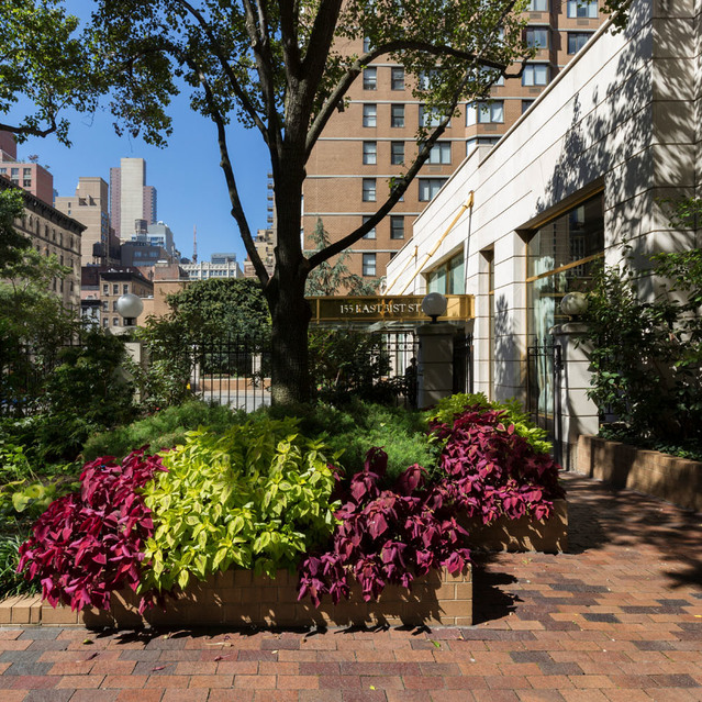 Murray Hill Apartments Windsor Court Midtown East